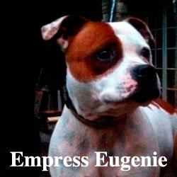 Eugenie-icon-copy