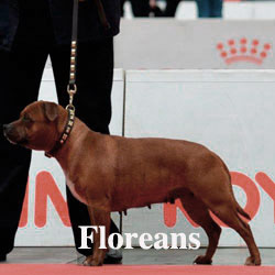 Floreans-Icon-copy