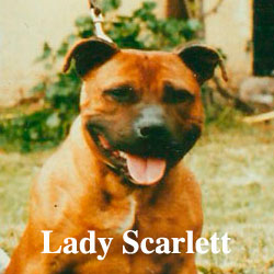 Lady-Scarlett-Icon